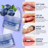 O'Cheal Blueberry Lip Sleeping Mask Overnight Lip Repair & Deep Moisturizing Treatment 20g